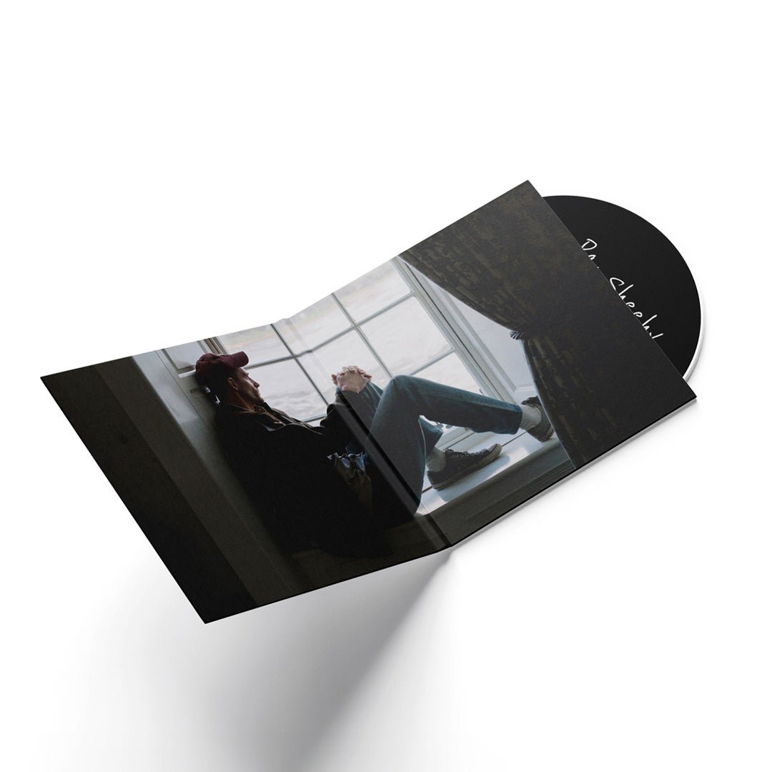 Maybe it was all for this | CD