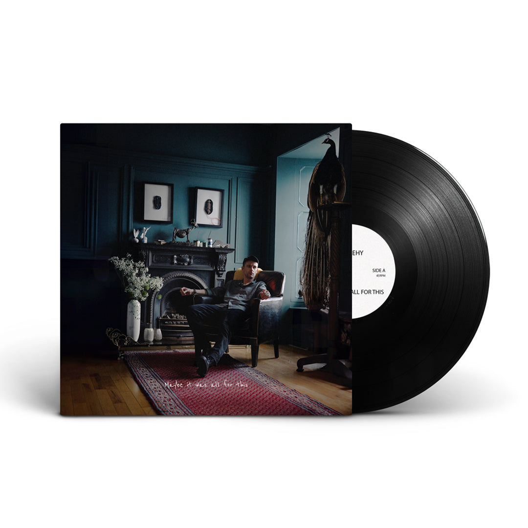 Maybe it was all for this | Vinyl