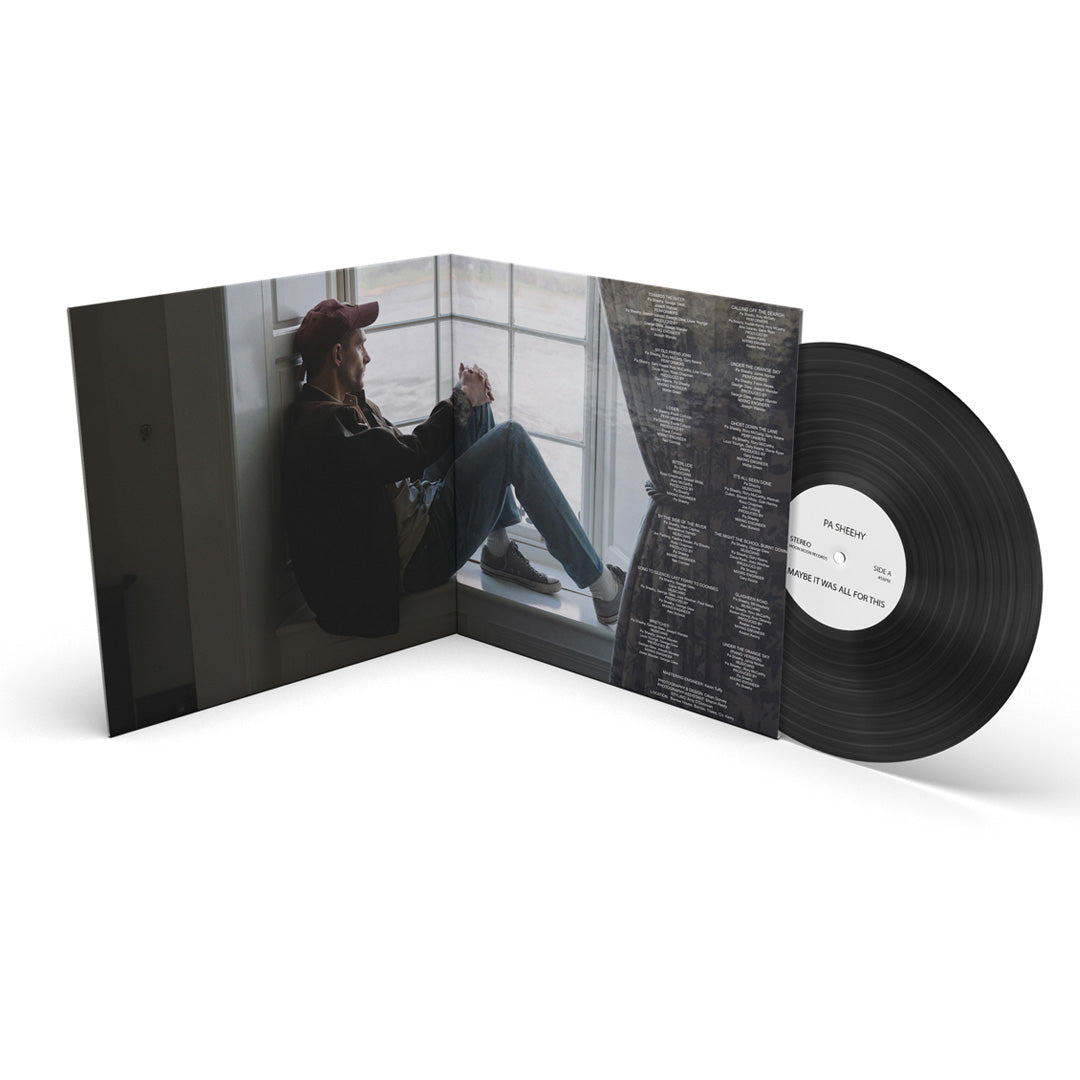 Maybe it was all for this | Vinyl