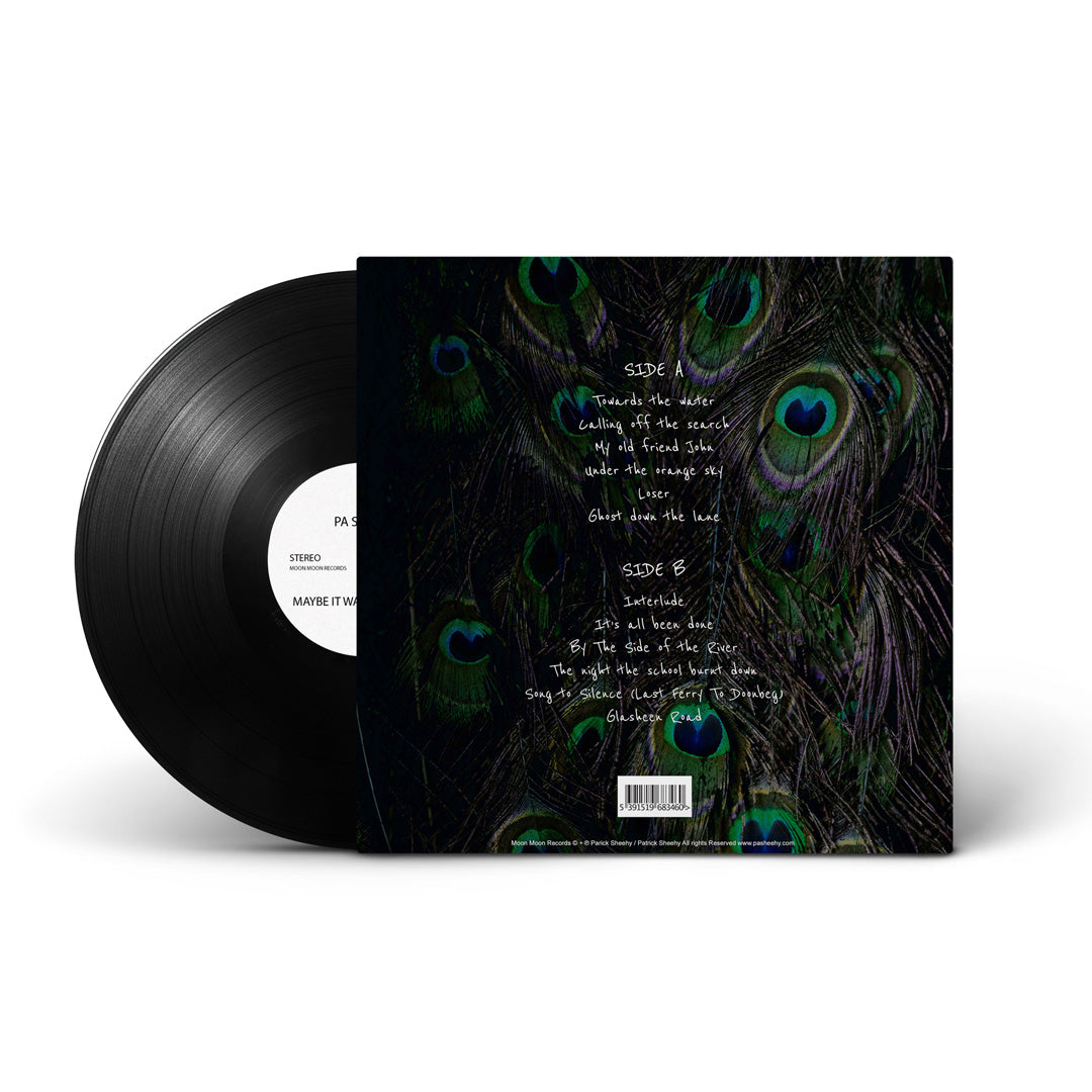 Maybe it was all for this | Vinyl