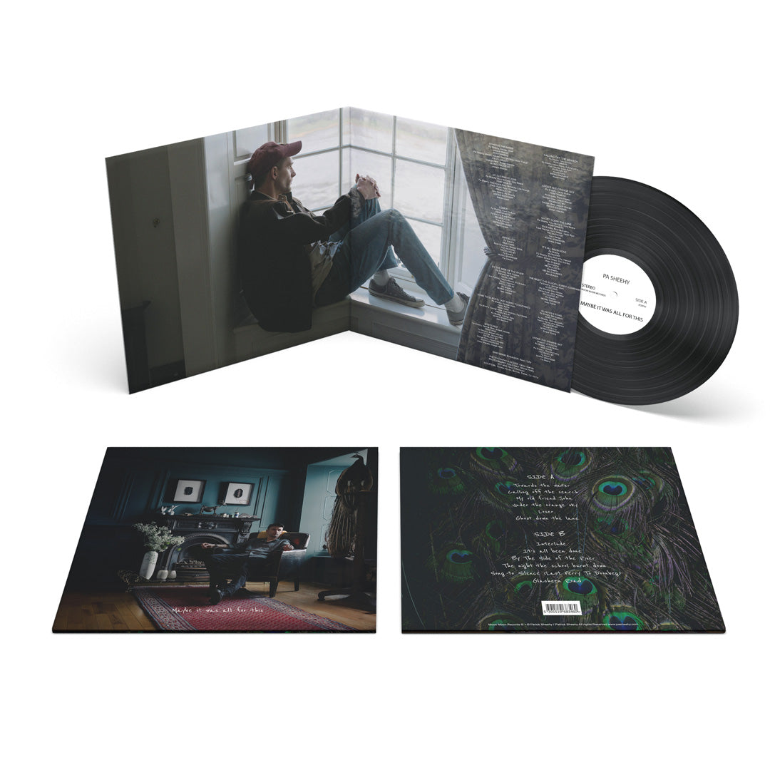 Maybe it was all for this | Vinyl