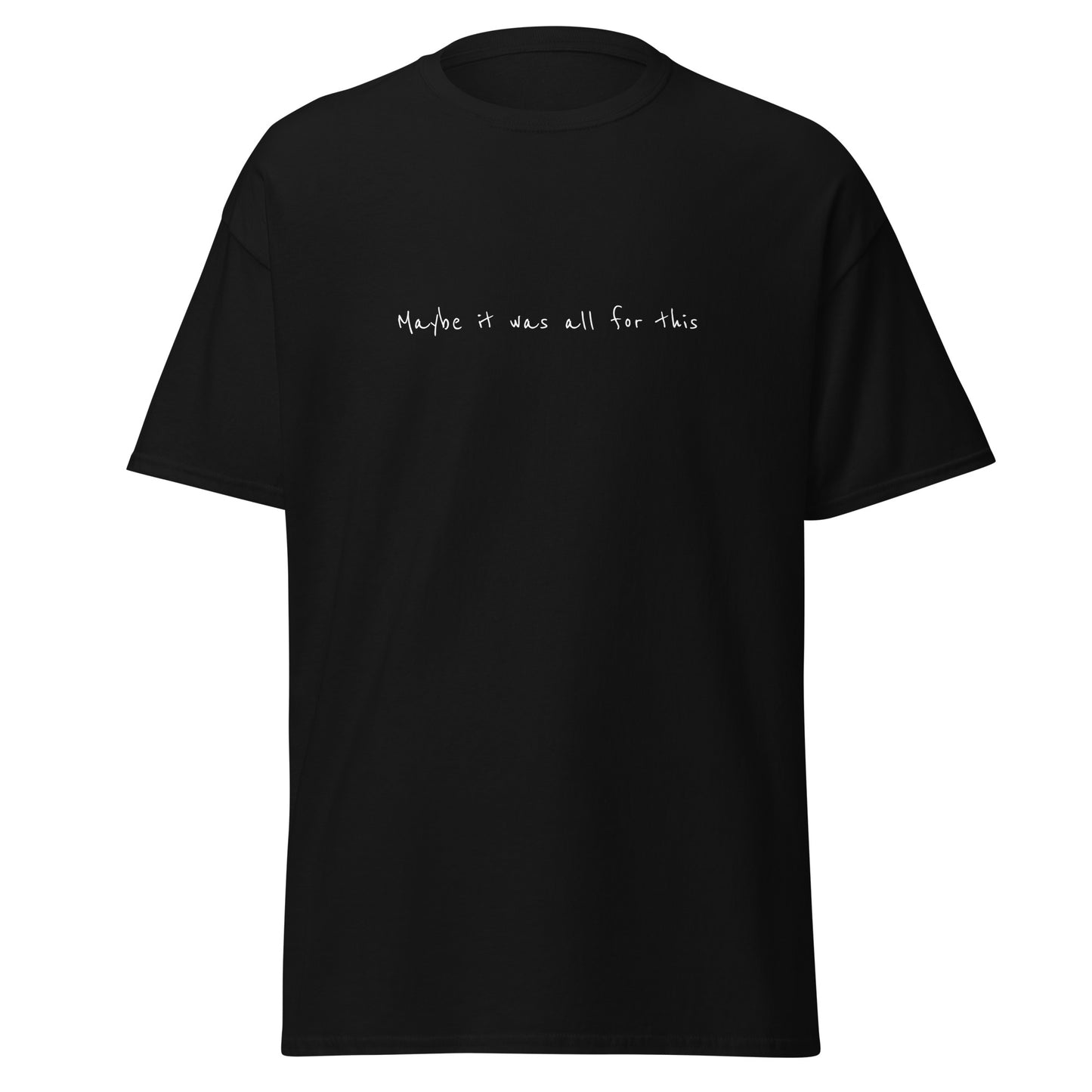 Maybe it was all for this | T-Shirt